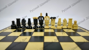 Wooden magnetic chess with a Royal board (Art K)